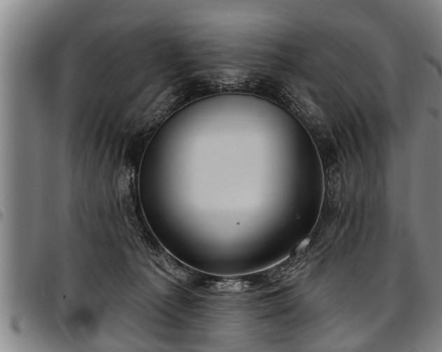 X0000097470225200802291319