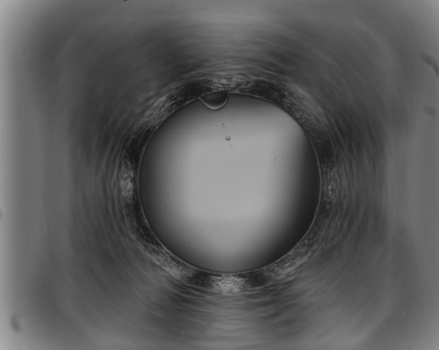 X0000097470226200802291319
