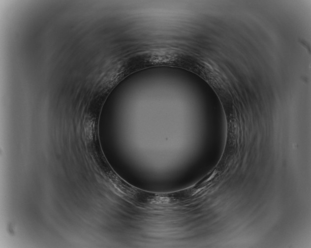 X0000097470227200802291319