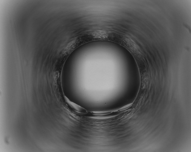 X0000097470229200802291318
