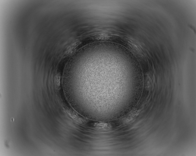 X0000097470230200802291318