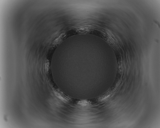 X0000097470231200802291318