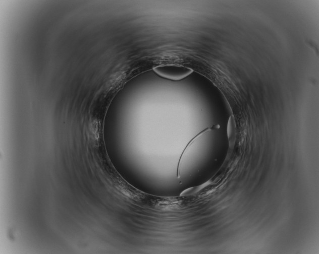 X0000097470232200802291318