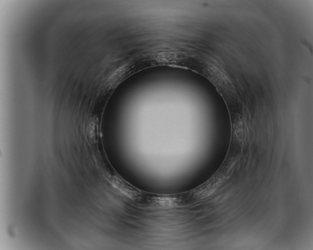 X0000097470233200802291318