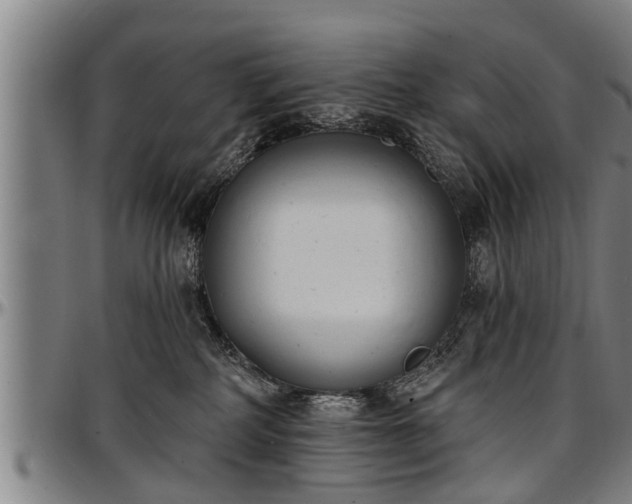 X0000097470234200802291318