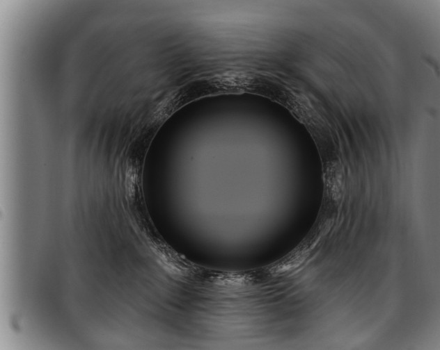 X0000097470235200802291318