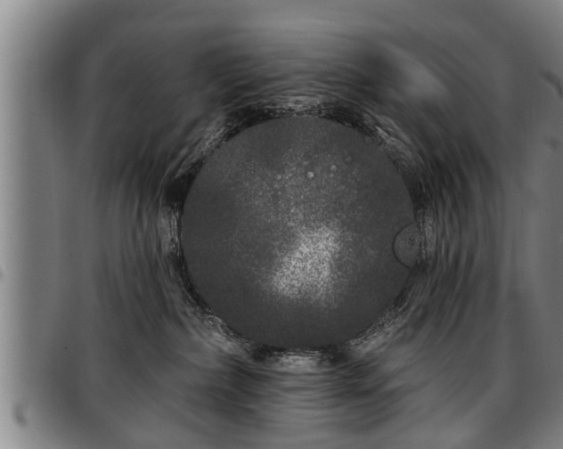 X0000097470236200802291318