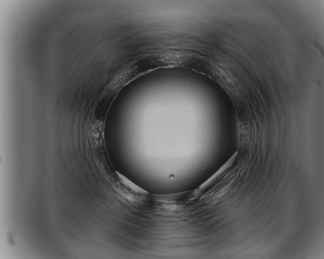 X0000097470237200802291318