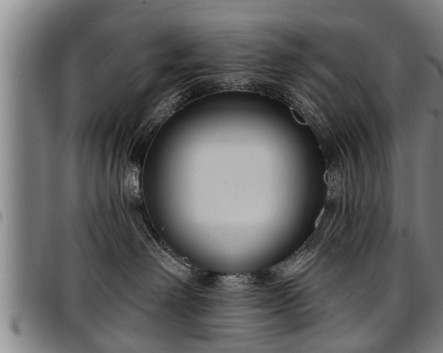 X0000097470238200802291318