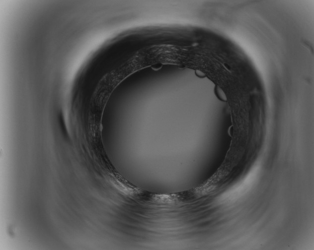 X0000097470239200802291318