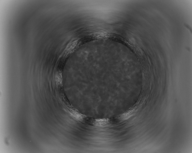 X0000097470240200802291318