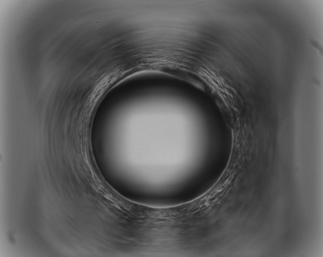 X0000097470241200802291318