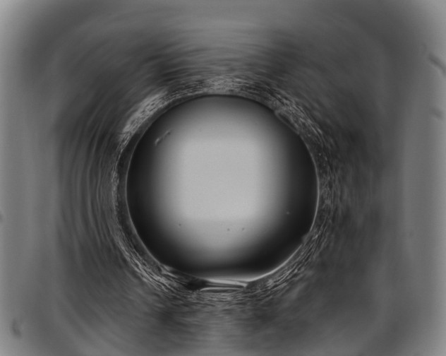 X0000097470242200802291318