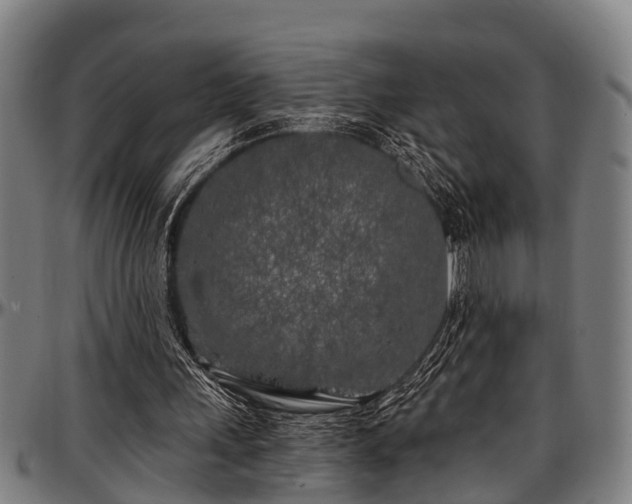 X0000097470243200802291318