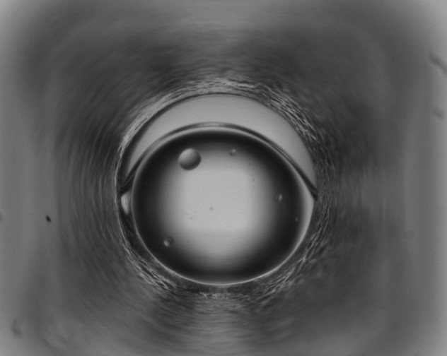 X0000097470244200802291318