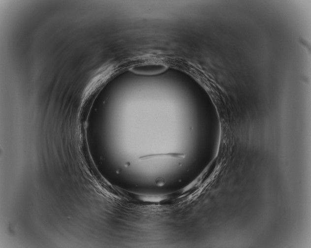 X0000097470245200802291318