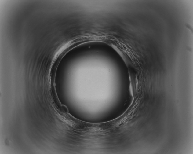 X0000097470246200802291318