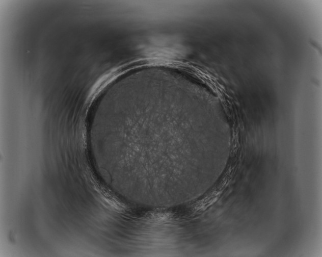 X0000097470247200802291318