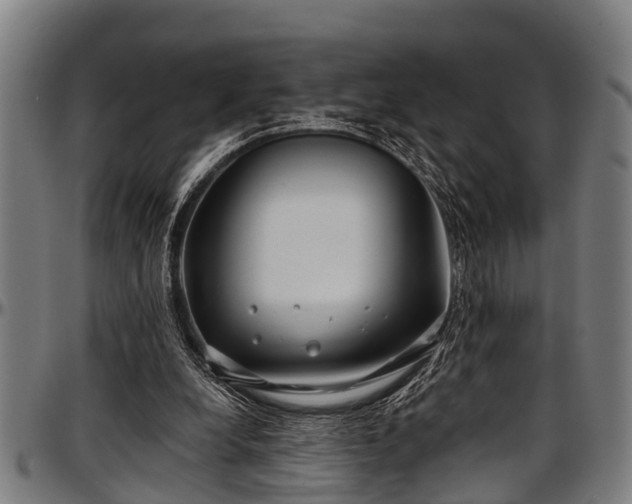X0000097470248200802291318