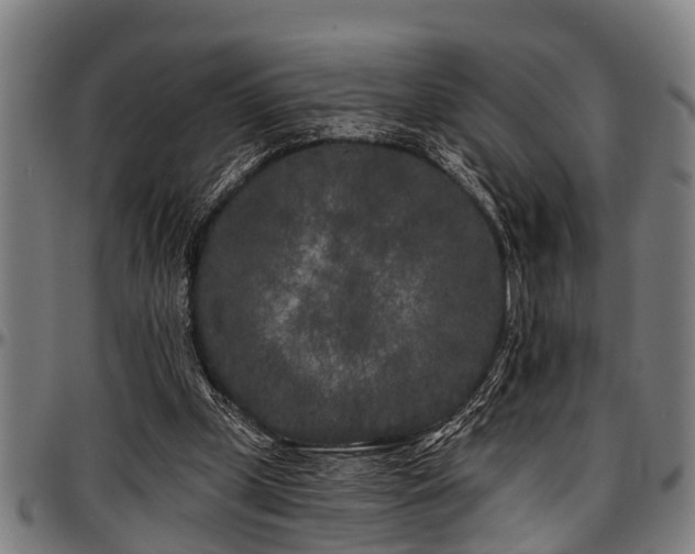 X0000097470249200802291318
