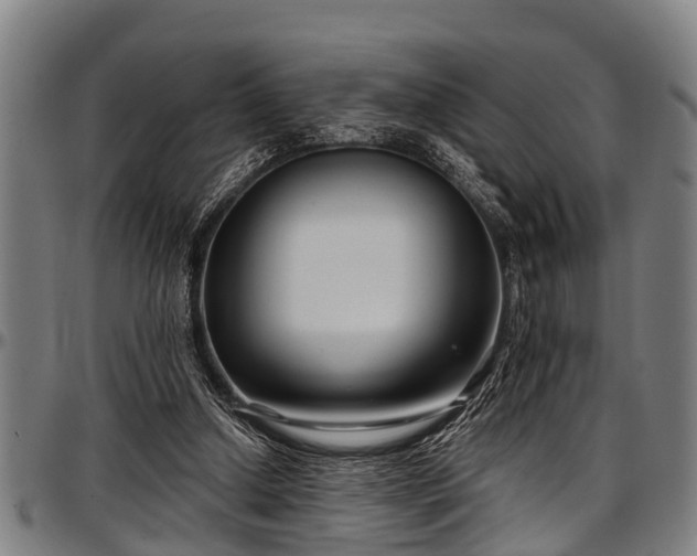 X0000097470250200802291318