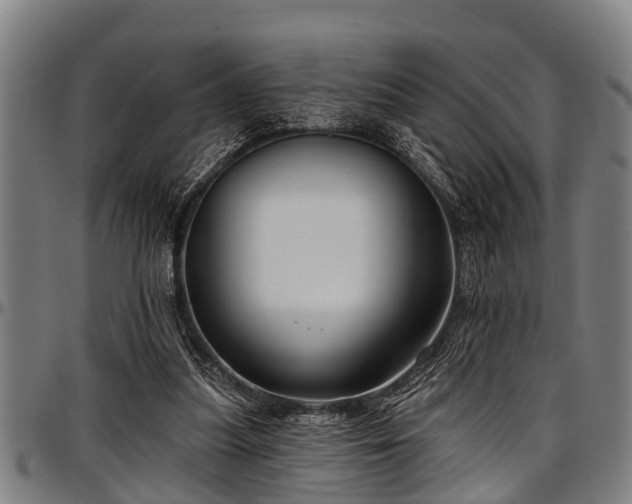 X0000097470251200802291318