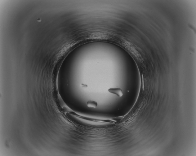 X0000097470252200802291318