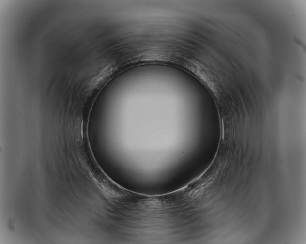 X0000097470253200802291318