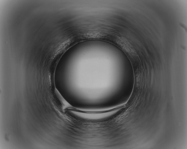 X0000097470254200802291318