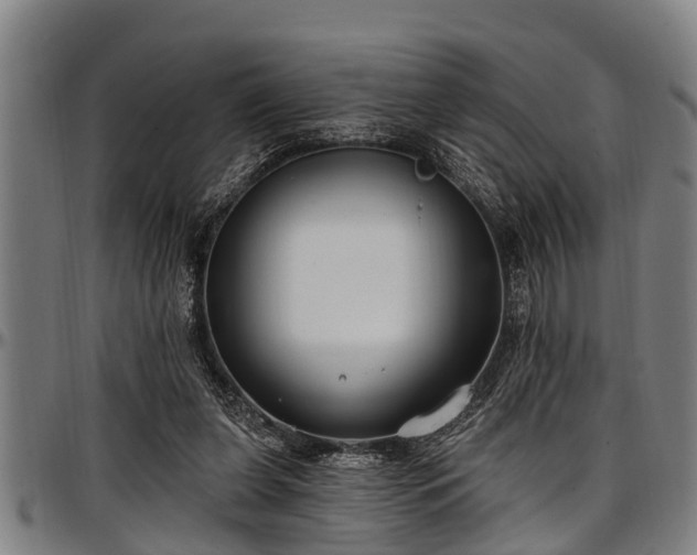 X0000097470255200802291318
