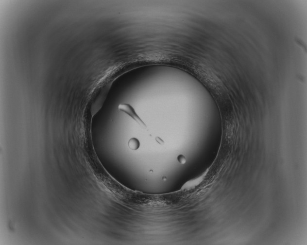 X0000097470256200802291318