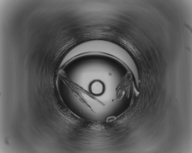 X0000097470258200802291318