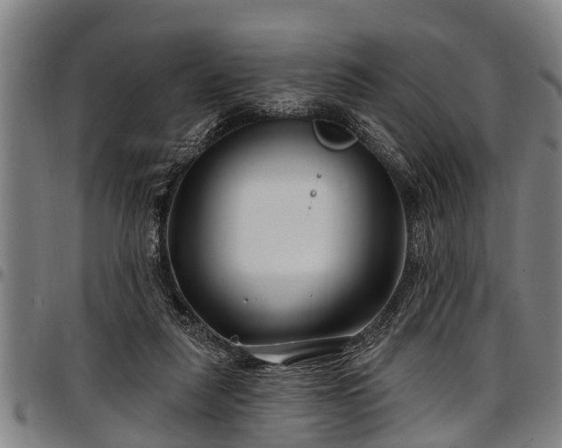X0000097470259200802291318