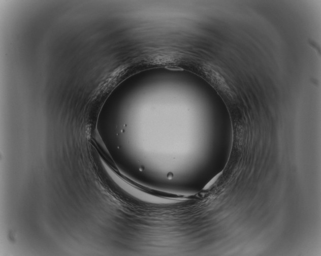 X0000097470260200802291318