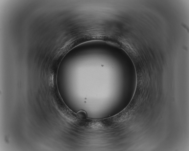 X0000097470262200802291318