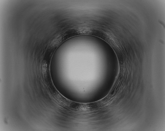 X0000097470263200802291318