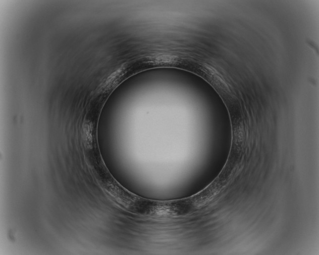 X0000097470264200802291318