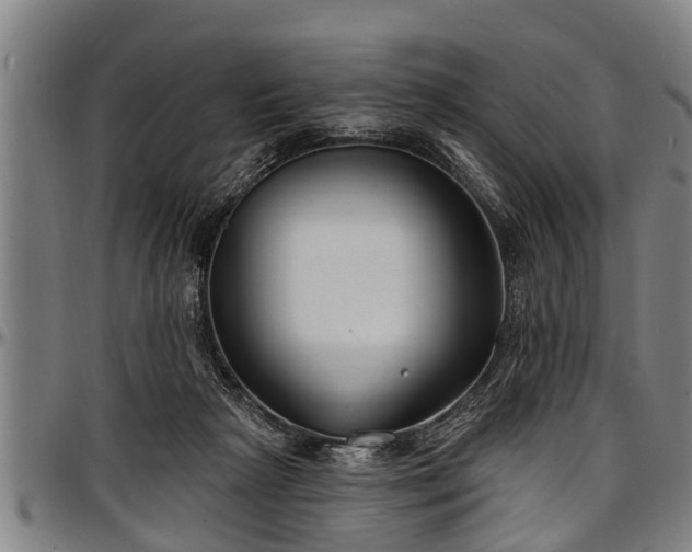 X0000097470265200802291318
