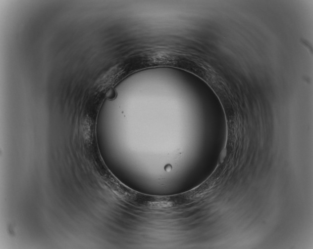 X0000097470266200802291318