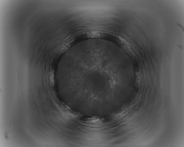 X0000097470267200802291318
