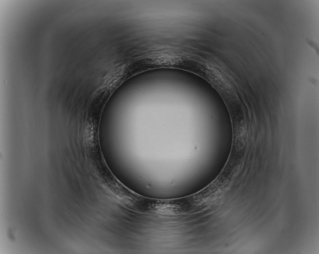 X0000097470268200802291318