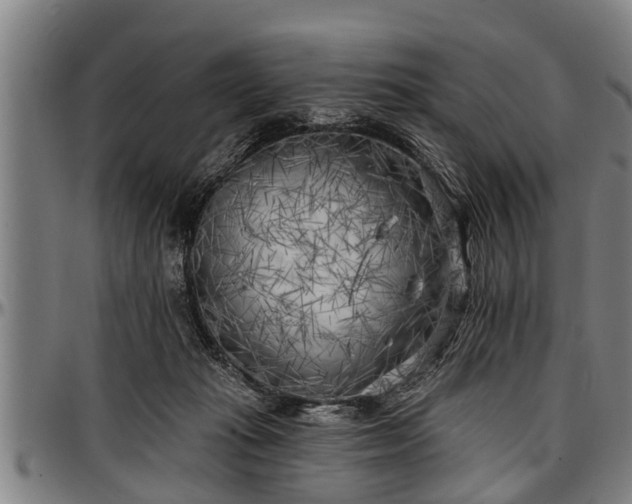 X0000097470269200802291318