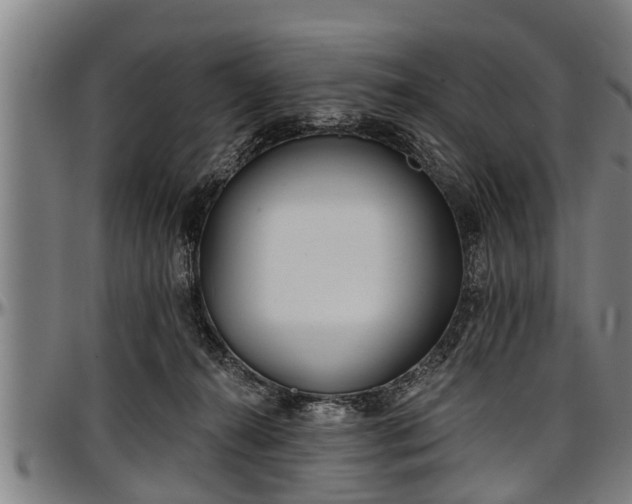 X0000097470272200802291318