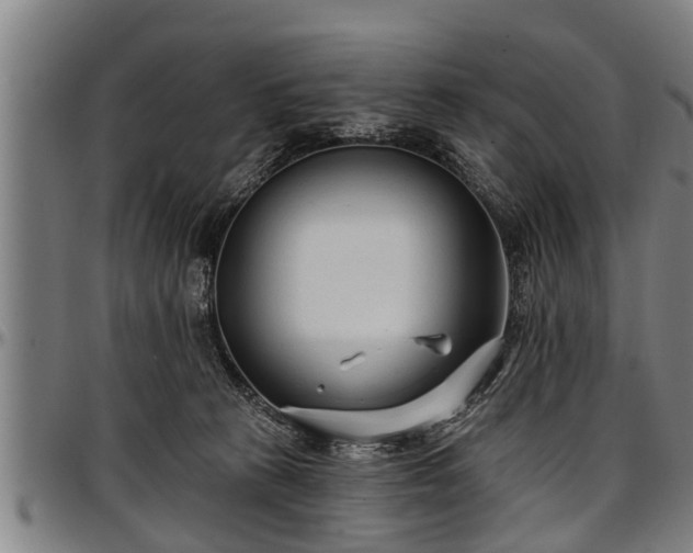 X0000097470273200802291318