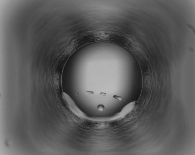 X0000097470274200802291318