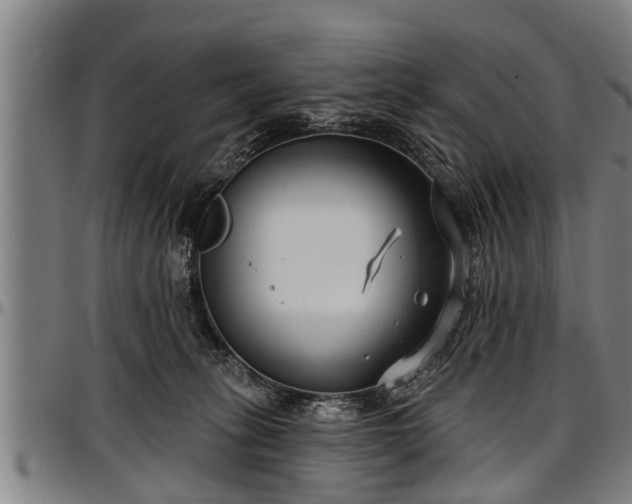 X0000097470275200802291318