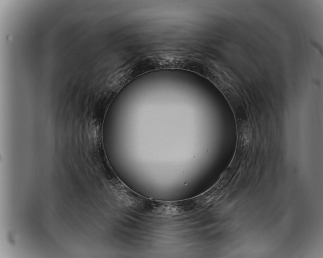 X0000097470276200802291318