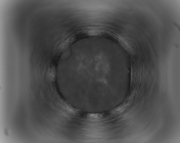 X0000097470277200802291318