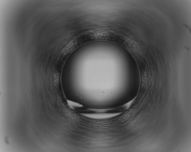 X0000097470278200802291318