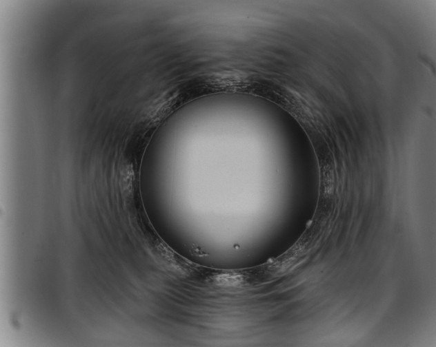 X0000097470279200802291318